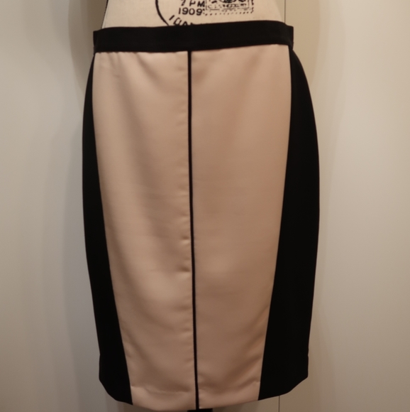 Ann Taylor Dresses & Skirts - Ann Taylor Color Block Skirt